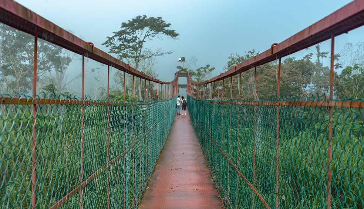 Puente de Oxolotán