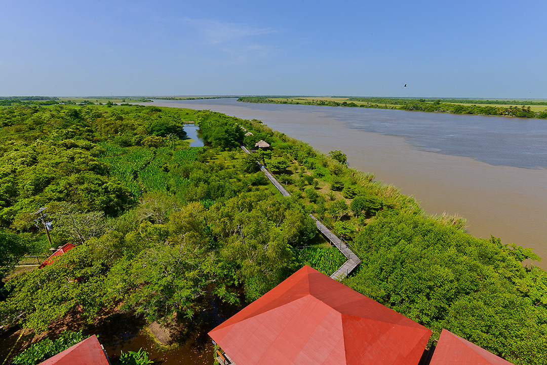 Pantanos de Centla 