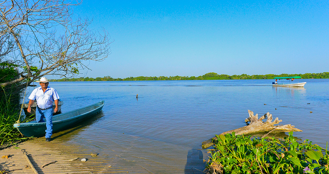 Pantanos de Centla 