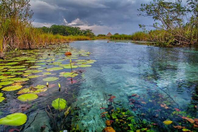 Campeche 