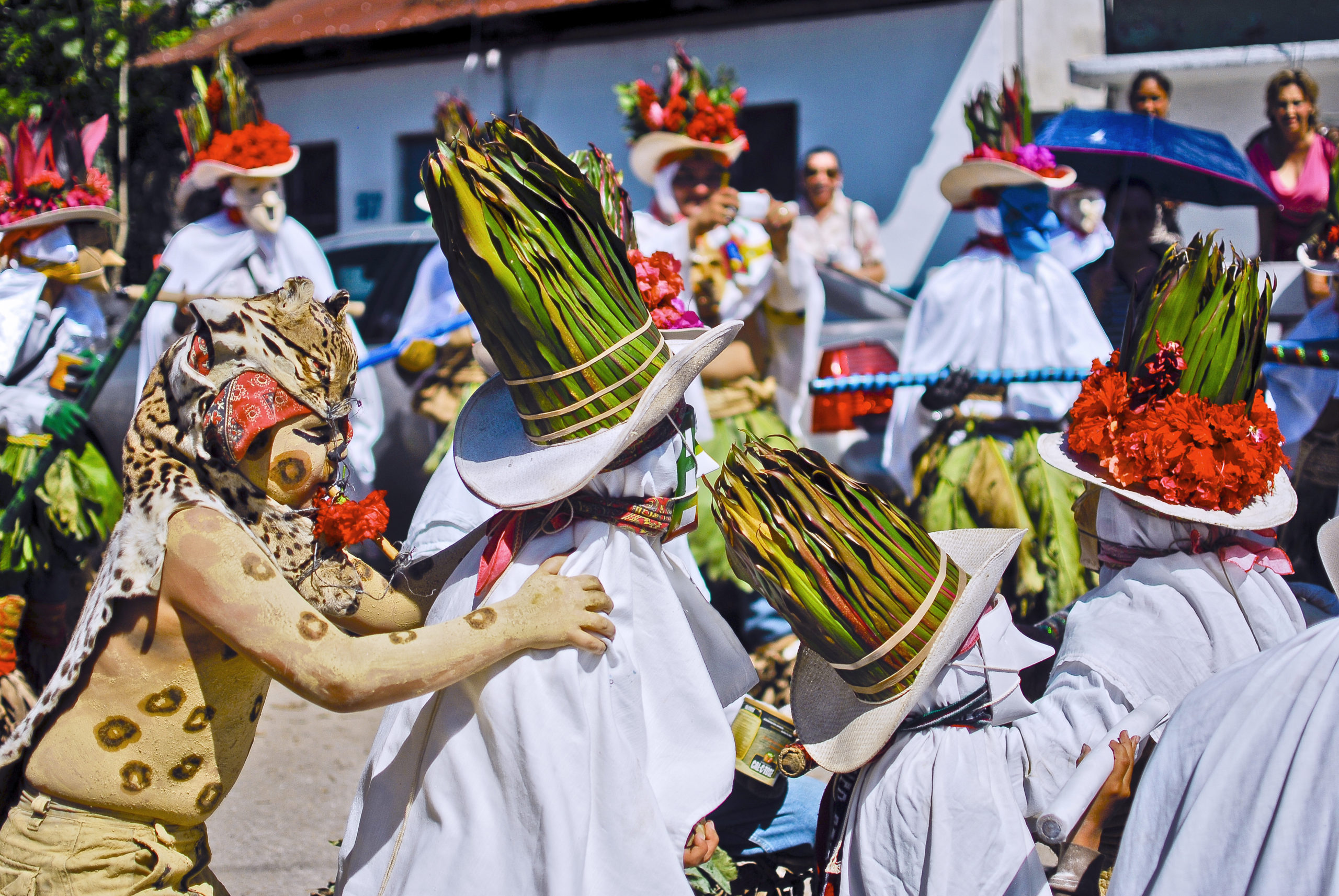 Tenosique es su danza del Pochó