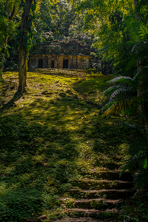 Yaxchilán